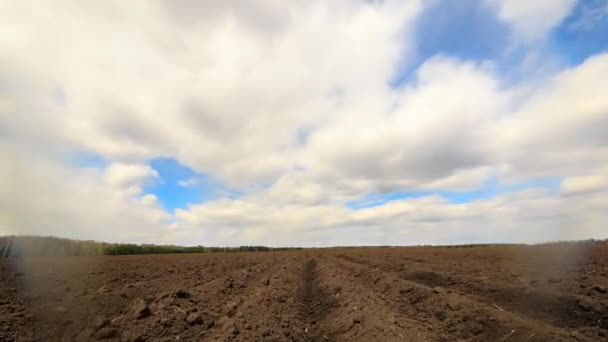 Campo Arado Após Plantio Batatas Time Lapse Vídeo Ultrahd — Vídeo de Stock