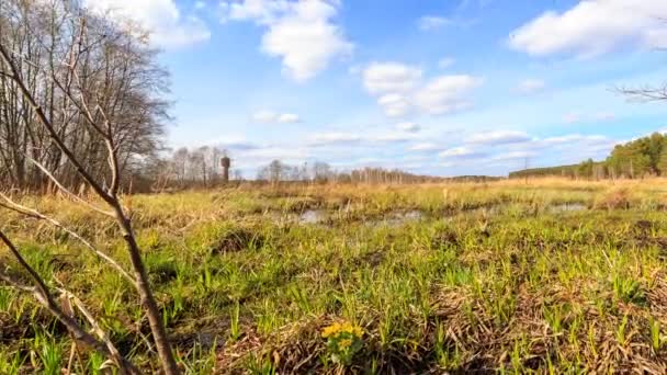 春天沼泽 使用滑块 时间流逝 Ultrahd — 图库视频影像