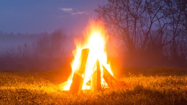 Bonfire Flares Goes Out Night Coming Timelapse Video — Stock Video