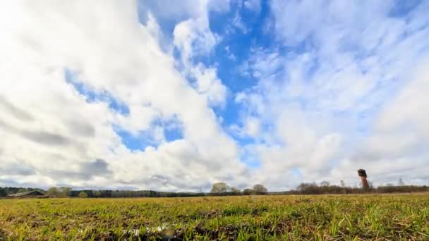 Jong Gras Een Achtergrond Van Wolken Het Voorjaar Schuif Hdr — Stockvideo