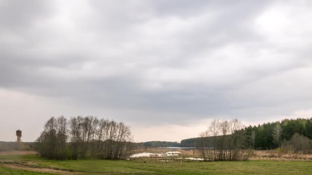 Lluvia Sobre Lago Time Lapse Vídeo Ultrahd — Vídeos de Stock