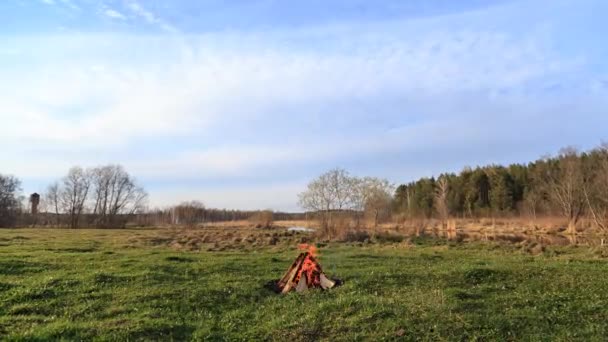 Feu Joie Brûlant Sur Pelouse Verte Par Une Journée Ensoleillée — Video