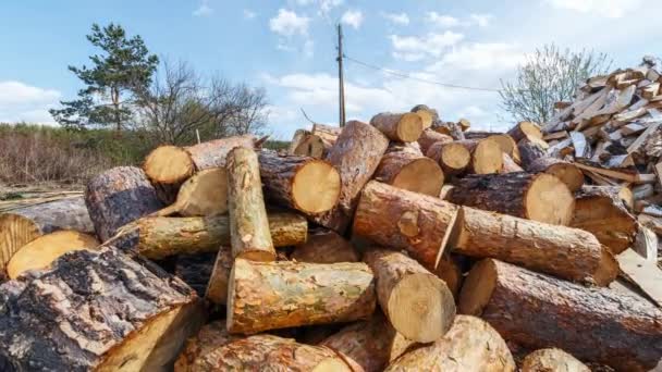 Heap Pine Logs Time Lapse Video Ultrahd — Stock Video