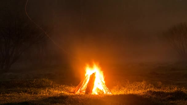 Fogueira Arde Campo Contra Pano Fundo Floresta Time Lapse Vídeo — Vídeo de Stock