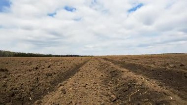 Patates dikim sonra sürülmüş alan. Zaman atlamalı. Video. UltraHD (4k)