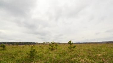 gökyüzü bulutlar ve yeşil çim, zaman atlamalı video ile. UltraHD (4k)