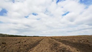 Patates dikim sonra sürülmüş alan. Zaman atlamalı. Video. UltraHD (4k)