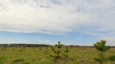 gökyüzü bulutlar ve yeşil çim, zaman atlamalı video ile. UltraHD (4k)