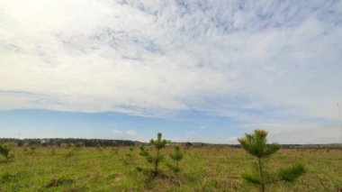 gökyüzü bulutlar ve yeşil çim, zaman atlamalı video ile. UltraHD (4k)