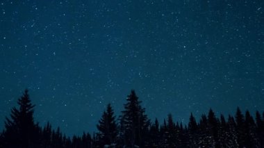 güzel yıldızlı gökyüzü, çam ağaçları ve ay gece görüş doğmak, video, ultrahd (4k)