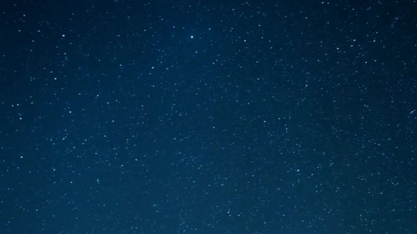 Vista Nocturna Del Hermoso Cielo Estrellado Los Abetos Luna Levantan — Vídeos de Stock