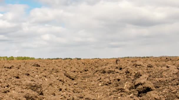 Nuvens Sobre Terra Arável Close Time Lapse Vídeo — Vídeo de Stock