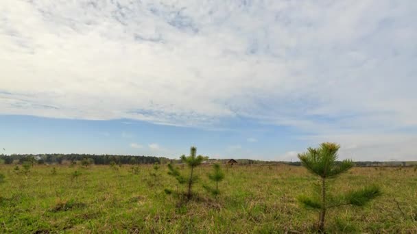 Himmel Mit Wolken Und Grünem Rasen Zeitraffer Video Ultrahd — Stockvideo