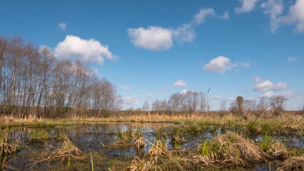 Terreno Pantanoso Fundo Das Nuvens Primavera Vídeo Ultrahd — Vídeo de Stock