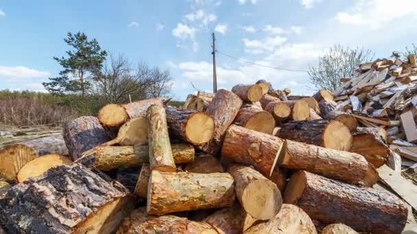 Hoop Van Ronde Pine Logs Time Lapse Video Ultrahd — Stockvideo