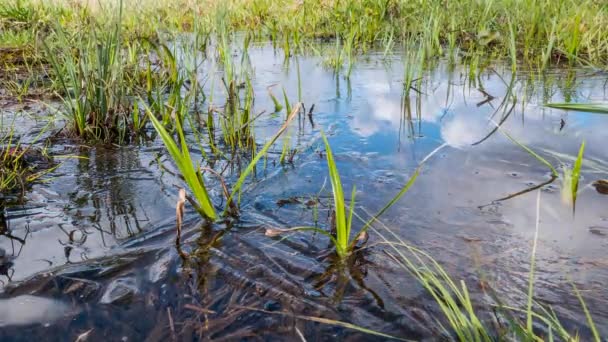 Sky Reflection Water Ice Time Lapse Video Ultrahd — Stock Video