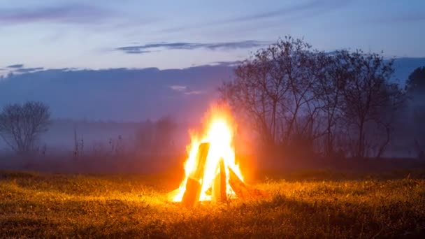 Fogueira Arde Apaga Noite Está Chegar Timelapse Vídeo — Vídeo de Stock