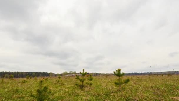 Cielo Con Nubes Césped Verde Video Time Lapse Ultrahd — Vídeos de Stock