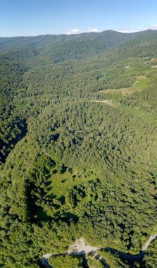 Dağlarda bir yol ile kaplıdır. Sochi, Rusya Federasyonu 
