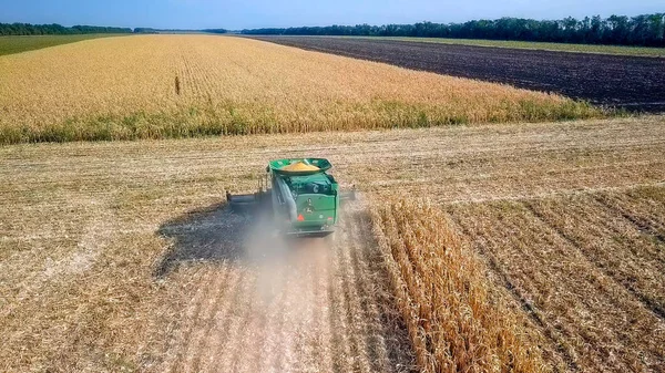 Rusia, Krasnodar - 30 de agosto de 2017: Cosecha de maíz. Cosechadora recoger maíz del campo. Rusia —  Fotos de Stock