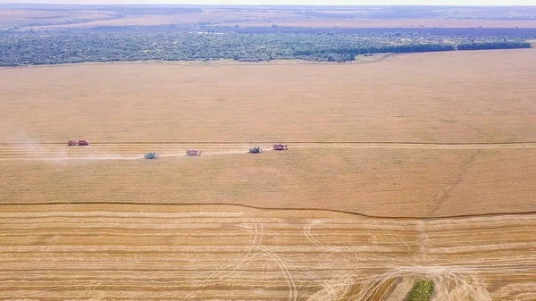 Rusia, región de Penza, distrito de Moksha - 26 de agosto de 2017: Combine la cosecha de trigo cosechador en el campo — Foto de Stock