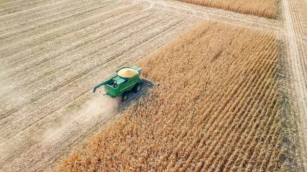 Rusia, Krasnodar - 30 de agosto de 2017: Cosecha de maíz. Cosechadora recoger maíz del campo. Rusia — Foto de Stock