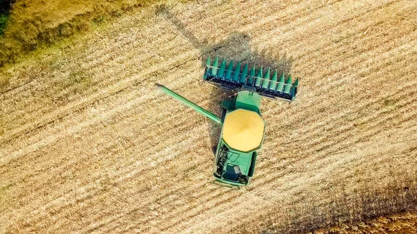 Colheita de milho. Colheitadeira recolher milho do campo. Rússia — Fotografia de Stock