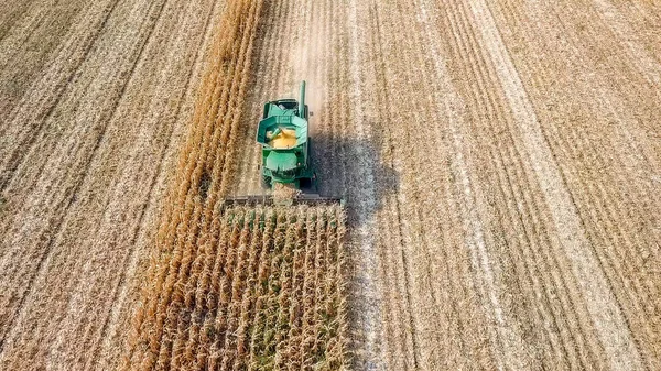 Rosja, Krasnodar - 30 sierpnia 2017: Do zbioru kukurydzy. Kombajn do zbierania kukurydzy z pola. Rosja — Zdjęcie stockowe