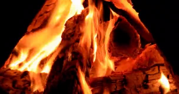 Bonfire Nachts Branden Video Ultrahd — Stockvideo