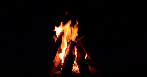 Bonfire Nachts Branden Video Ultrahd — Stockvideo