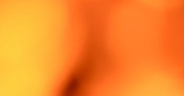 Gros plan sur Bonfire. Bonne nuit. Concentration variable. Vidéo. UltraHD (4K )