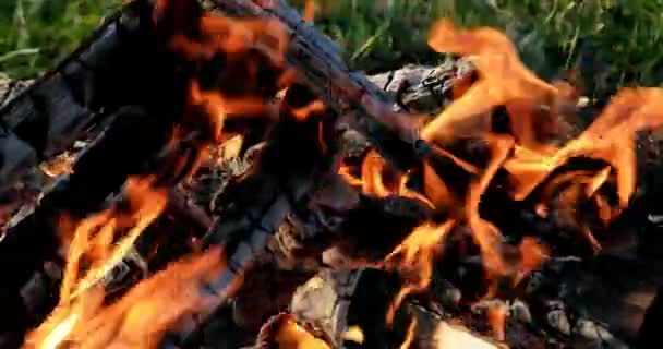 Oheň Hoří Closeup Letní Kemp Video Ultrahd — Stock video