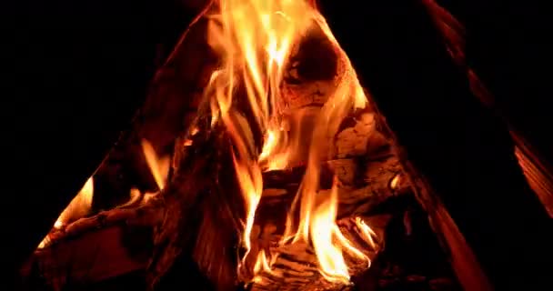 Bonfire Nachts Branden Video Ultrahd — Stockvideo