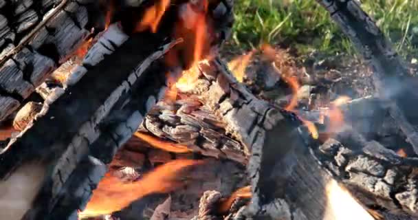 Fogueira Queimando Close Acampamento Verão Vídeo Ultrahd — Vídeo de Stock