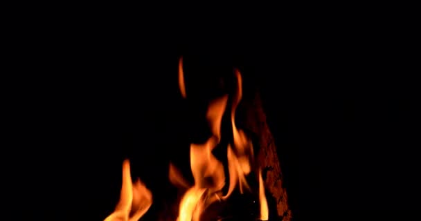 Bonfire Nachts Branden Video Ultrahd — Stockvideo