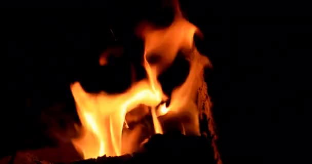 Oheň Hořící Noci Video Ultrahd — Stock video