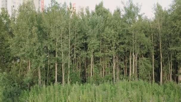 Stedelijke Ontwikkeling Woonwijk Academische Groene Zomer Bomen Rusland Ekaterinburg Luchtfoto — Stockvideo