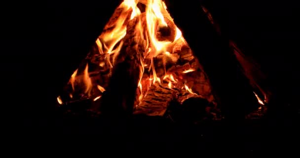 篝火在夜里燃烧 Ultrahd — 图库视频影像