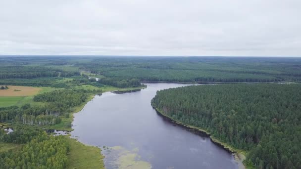 川と森の空撮 カメラを飛んでいます ビデオ Ultrahd — ストック動画