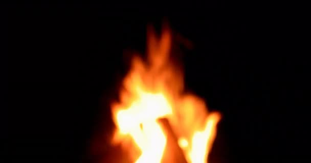 Hoguera Ardiendo Por Noche Vídeo Ultrahd — Vídeo de stock