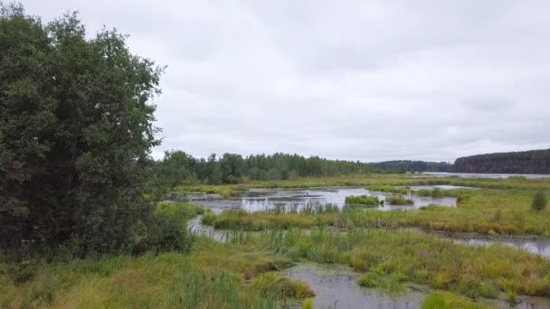 Luchtfoto Van Wetland Groene Bomen Video Ultrahd — Stockvideo