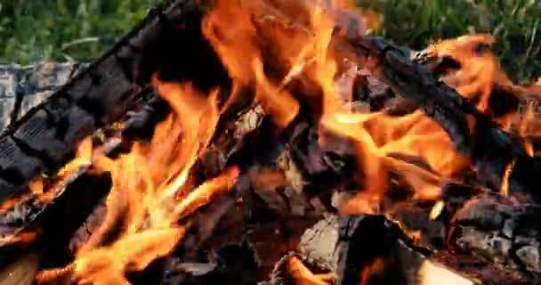 Fogueira Queimando Close Acampamento Verão Vídeo Ultrahd — Vídeo de Stock