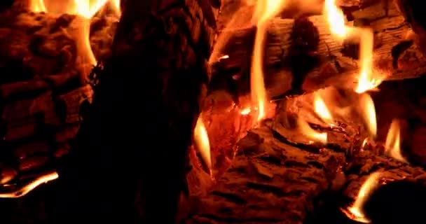 Focul Tabără Arde Noaptea Videoclip Ultrahd — Videoclip de stoc