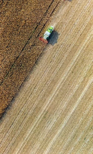 Russia, Krasnodar - 30 agosto 2017: Raccolta di mais. La mietitrice raccoglie il grano dal campo. Russia — Foto Stock