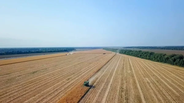 Rusia, Krasnodar - 30 de agosto de 2017: Cosecha de maíz. Cosechadora recoger maíz del campo. Rusia — Foto de Stock