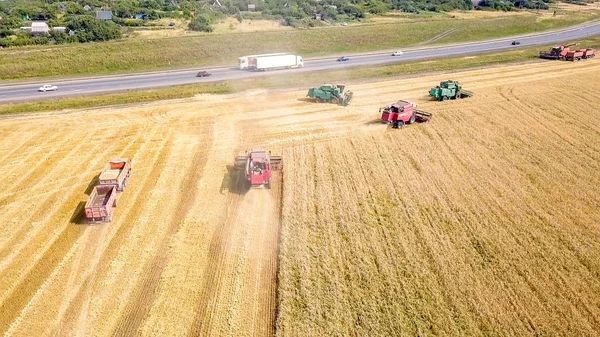 Combine colheitadeira colheita de trigo no campo — Fotografia de Stock
