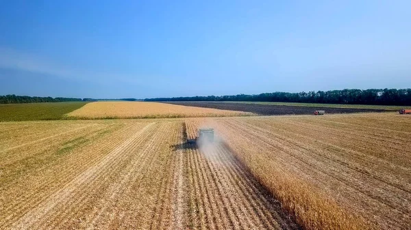 Rusia, Krasnodar - 30 de agosto de 2017: Cosecha de maíz. Cosechadora recoger maíz del campo. Rusia — Foto de Stock