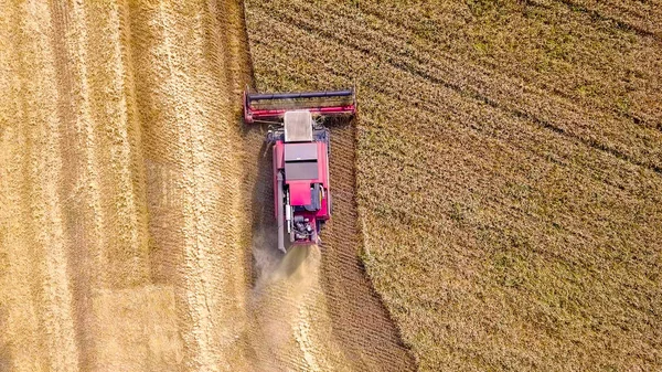 Комбайн збирає пшеницю на полі — стокове фото