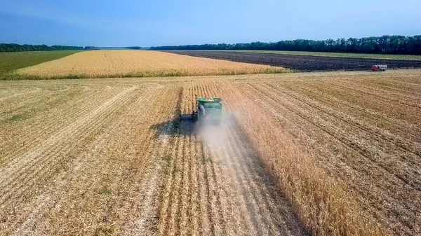Rusia, Krasnodar - 30 de agosto de 2017: Cosecha de maíz. Cosechadora recoger maíz del campo. Rusia — Foto de Stock