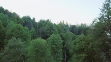 Rosa Khutor Yaylası, yamaçları, ağaçlar ve sandalye Asansörler. Gün batımında havadan görünümü. Video. UltraHD (4k)